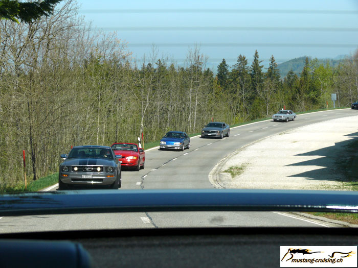 P1010161.jpg