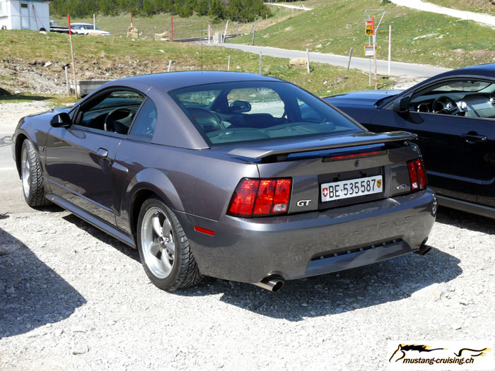 P1010189.jpg