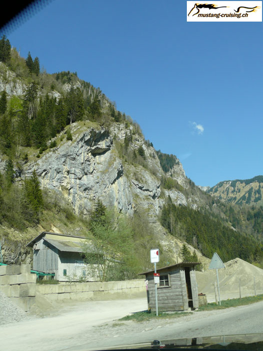 P1010234.jpg