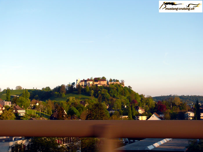 P1010256.jpg