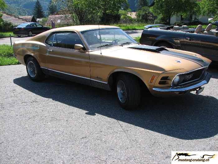 MustangCruising20070617_002.jpg