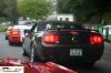 CRW_3902_JFR.jpg