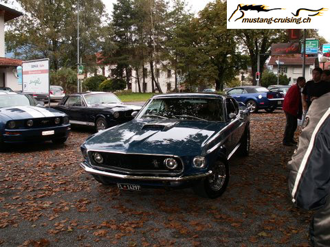 user_stealthstang_17.jpg