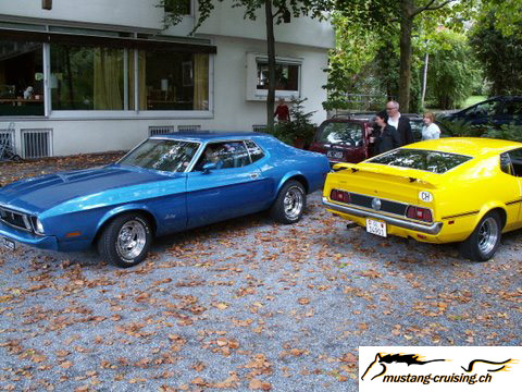 user_stealthstang_19.jpg