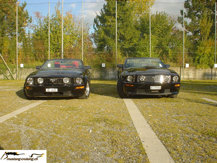 mc9jc9.jpg