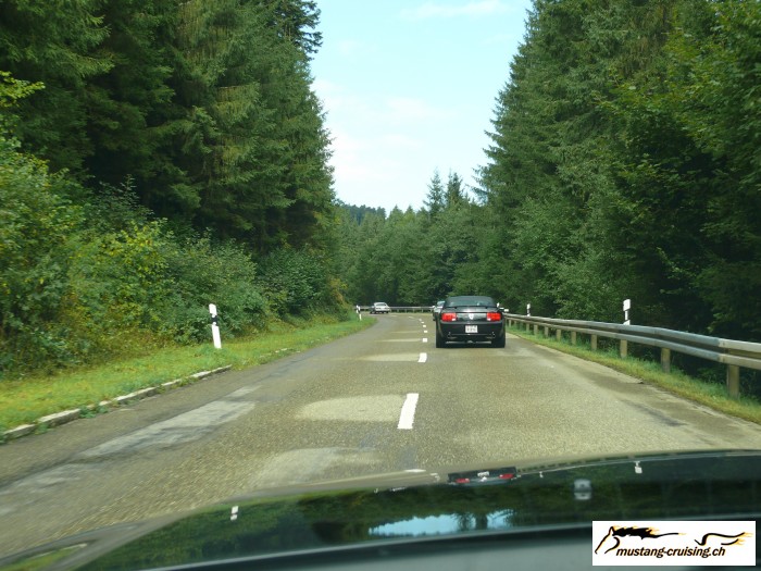 Schwarzwald002.jpg