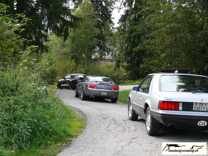 Schwarzwald042.jpg