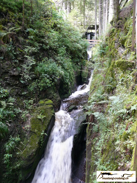 Schwarzwald046.jpg