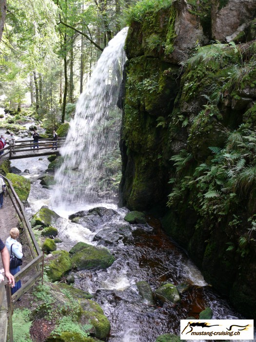 Schwarzwald047.jpg