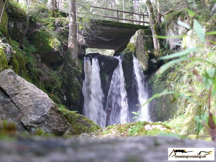 Schwarzwald048.jpg