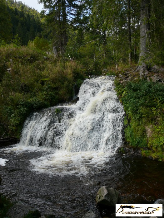 Schwarzwald049.jpg