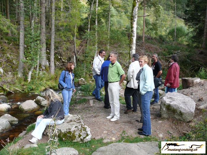 Schwarzwald050.jpg