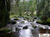 Schwarzwald044.jpg