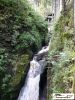Schwarzwald046.jpg