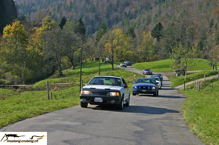 CRW_9469_JFR.jpg