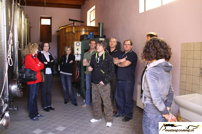 IMG_0884.jpg