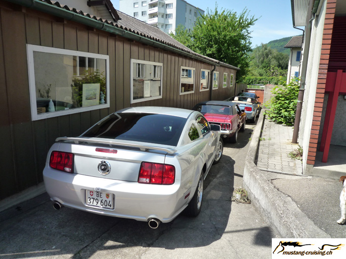 P1000108.jpg