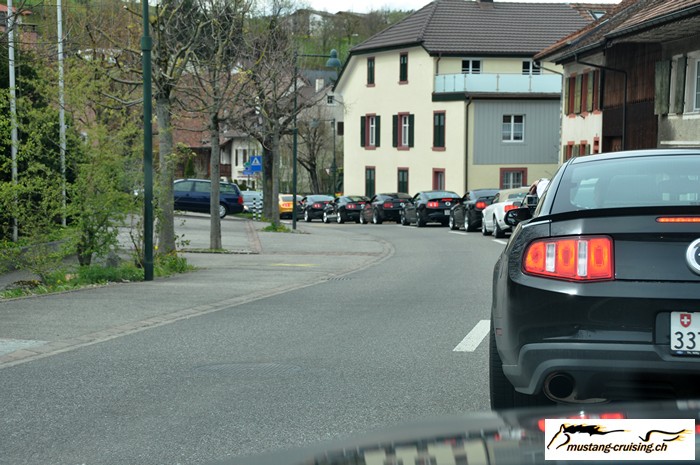 sg013.jpg