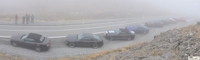 pf035.jpg