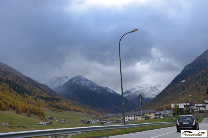 pf079.jpg