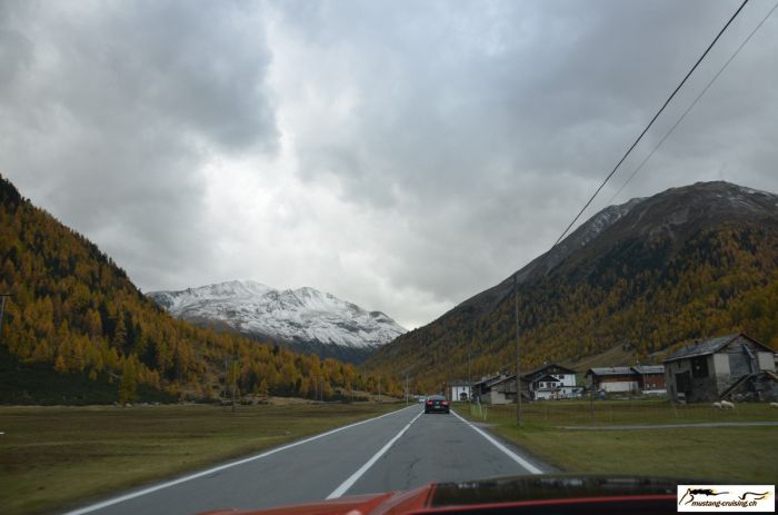 pf080.jpg