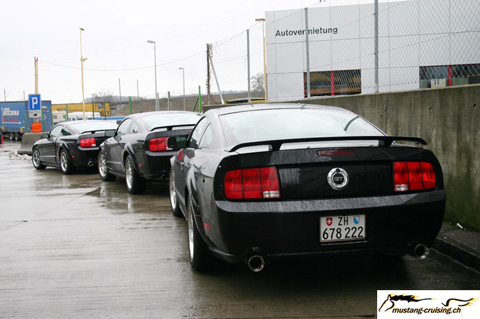 CRW_4991_JFR.jpg
