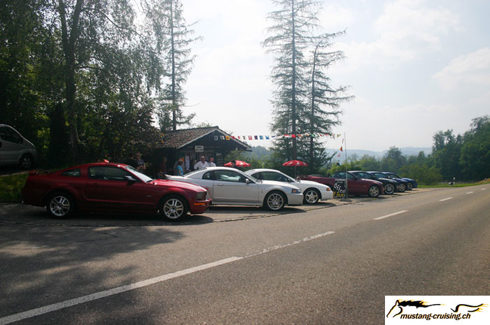 CRW_6555_JFR.jpg