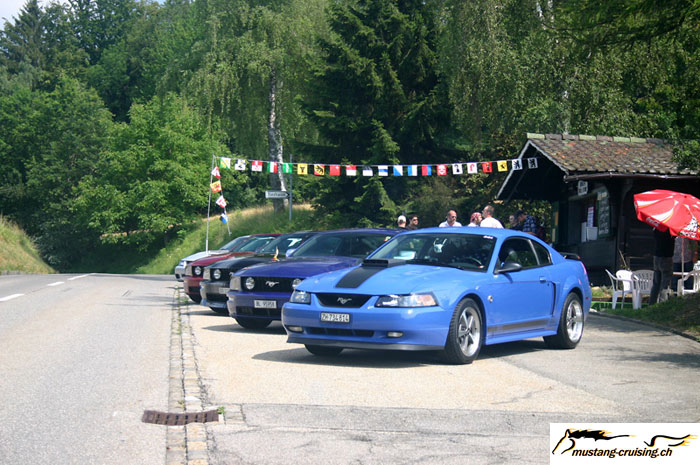 CRW_6557_JFR.jpg