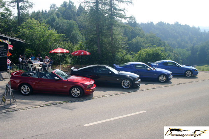 CRW_6574_JFR.jpg