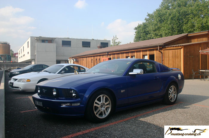CRW_6591_JFR.jpg