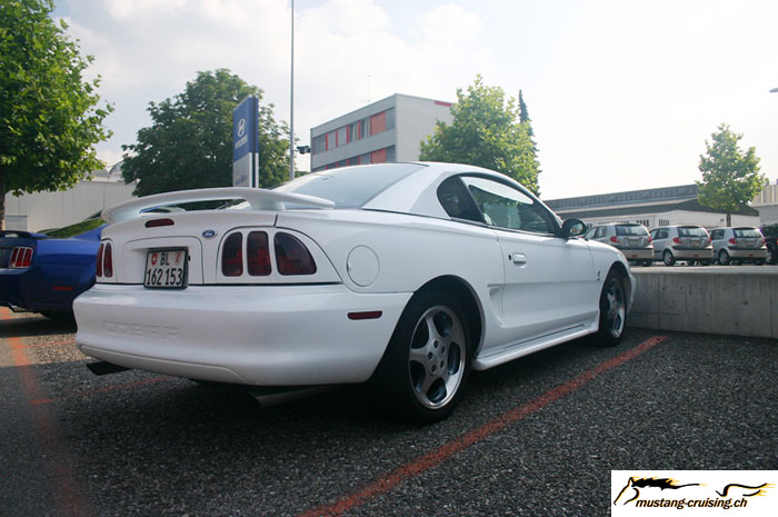 CRW_6596_JFR.jpg
