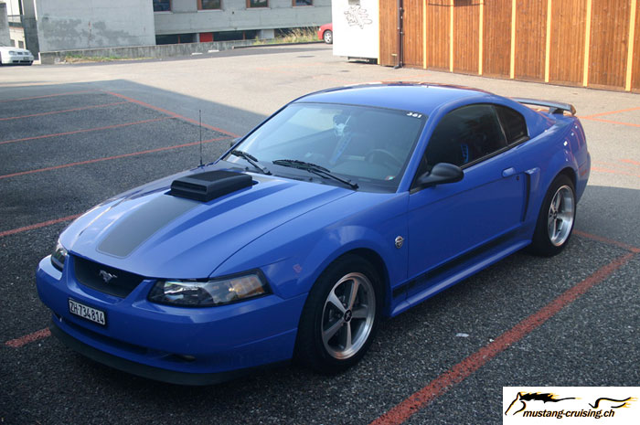 CRW_6598_JFR.jpg