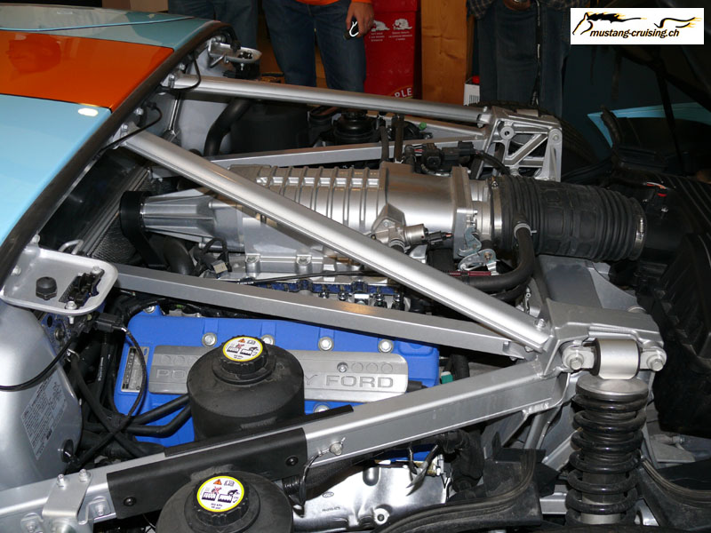 P1000157.jpg