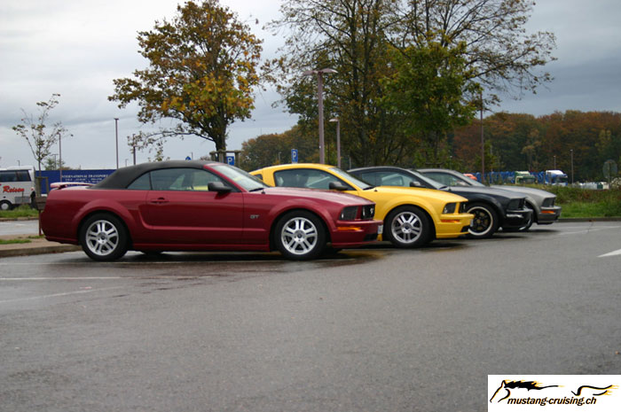 CRW_8425_JFR.jpg