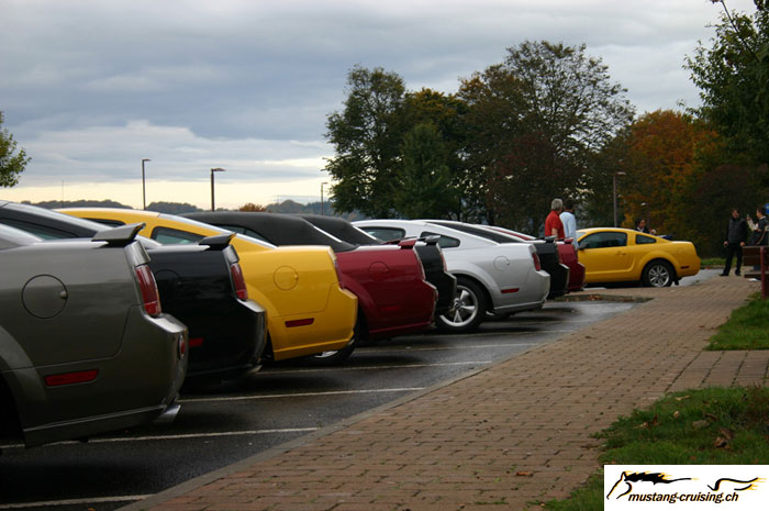 CRW_8431_JFR.jpg