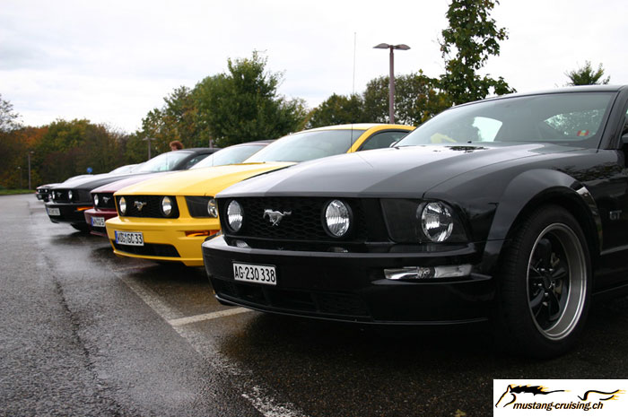 CRW_8434_JFR.jpg