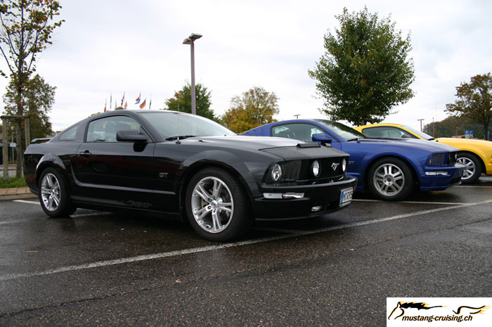 CRW_8436_JFR.jpg