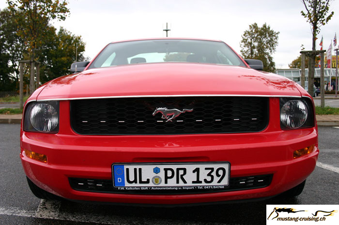 CRW_8438_JFR.jpg