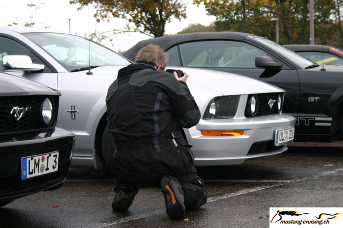 CRW_8442_JFR.jpg