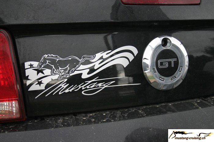 CRW_8447_JFR.jpg