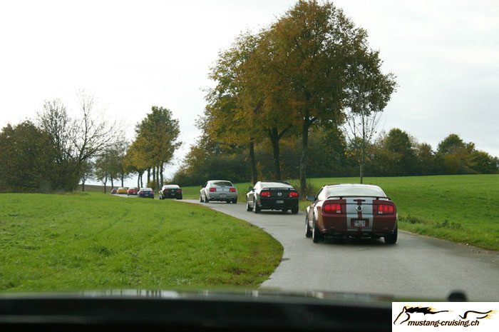 CRW_8465_JFR.jpg