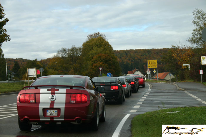 CRW_8468_JFR.jpg