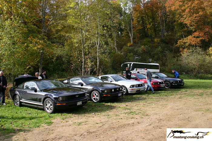 CRW_8480_JFR.jpg