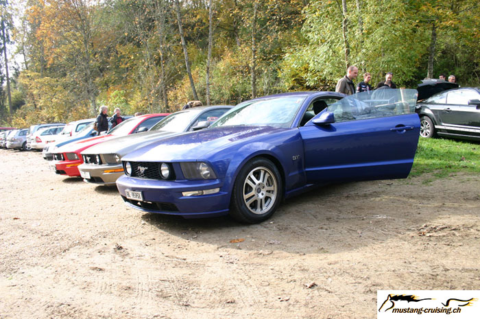 CRW_8481_JFR.jpg