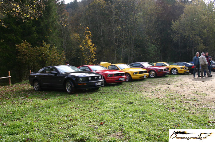 CRW_8482_JFR.jpg
