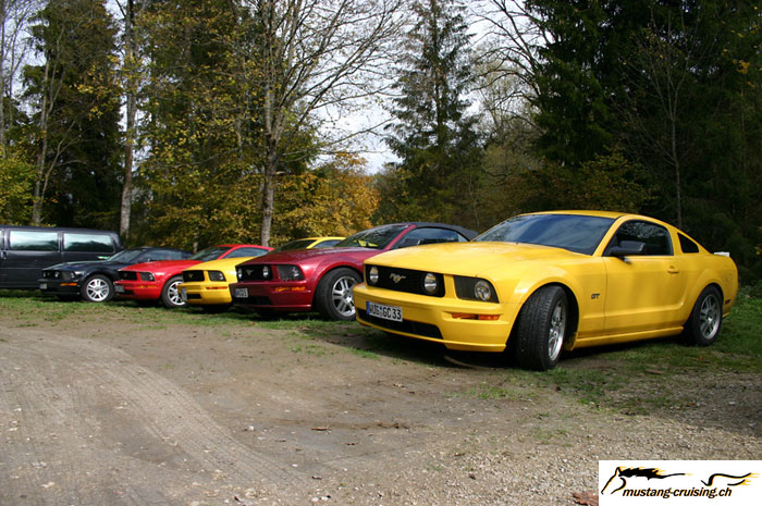 CRW_8498_JFR.jpg