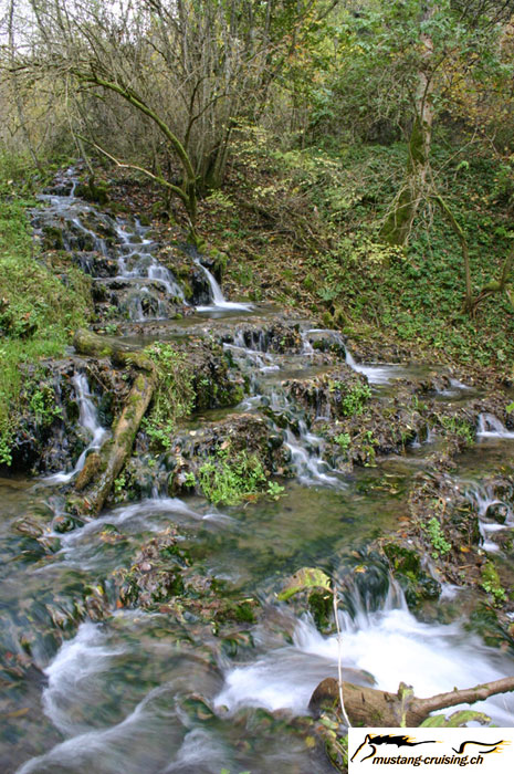 CRW_8499_JFR.jpg