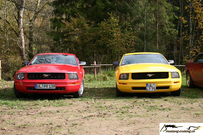 CRW_8507_JFR.jpg