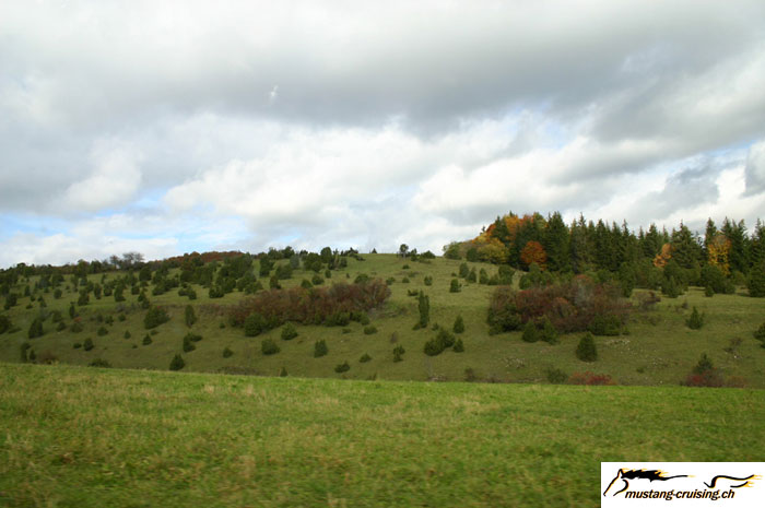 CRW_8508_JFR.jpg