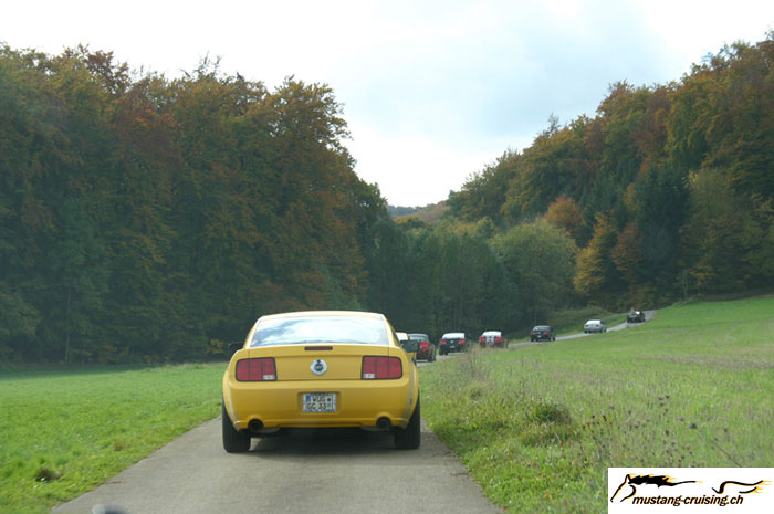 CRW_8509_JFR.jpg